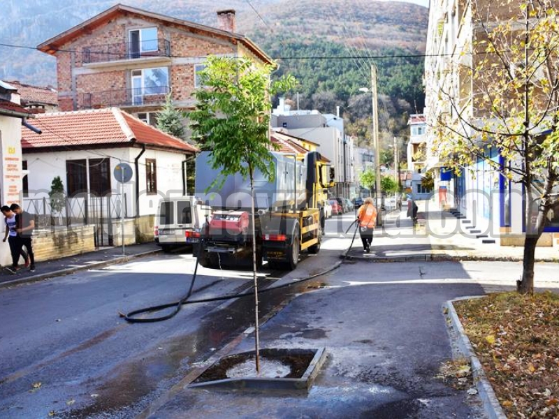 ПРОДЪЛЖАВА ЗАСАЖДАНЕТО НА ДРЪВЧЕТА В ЦЕНТЪРА НА ВРАЦА – снимка 2