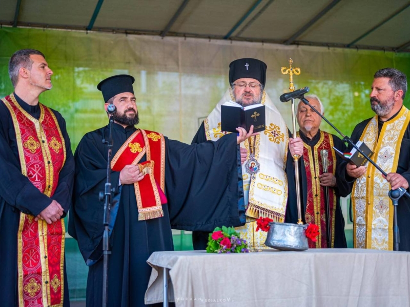 ЗРЕЛОСТНИЦИТЕ ОТ ВРАЦА СТАНАХА ПОСЛАНИЦИ – снимка 3