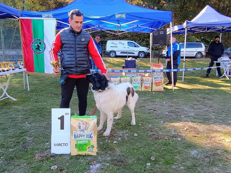 КИНОЛОЖКА ИЗЛОЖБА НА БЪЛГАРСКО ОВЧАРСКО КУЧЕ СЕ ПРОВЕДЕ ЗА ПРЪВ ПЪТ В МЕЗДРА – снимка 6