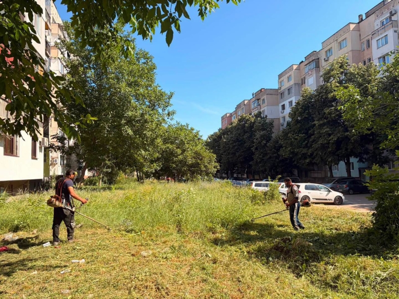 Продължава поддръжката на зелените площи – снимка 2